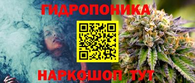 крисы Ачхой-Мартан