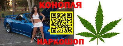 a pvp Аша